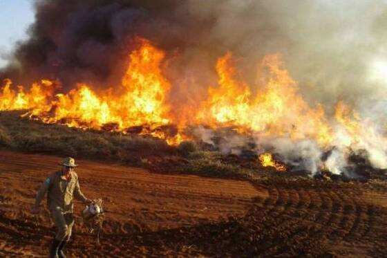 PANTANAL INCENDIO.jpg
