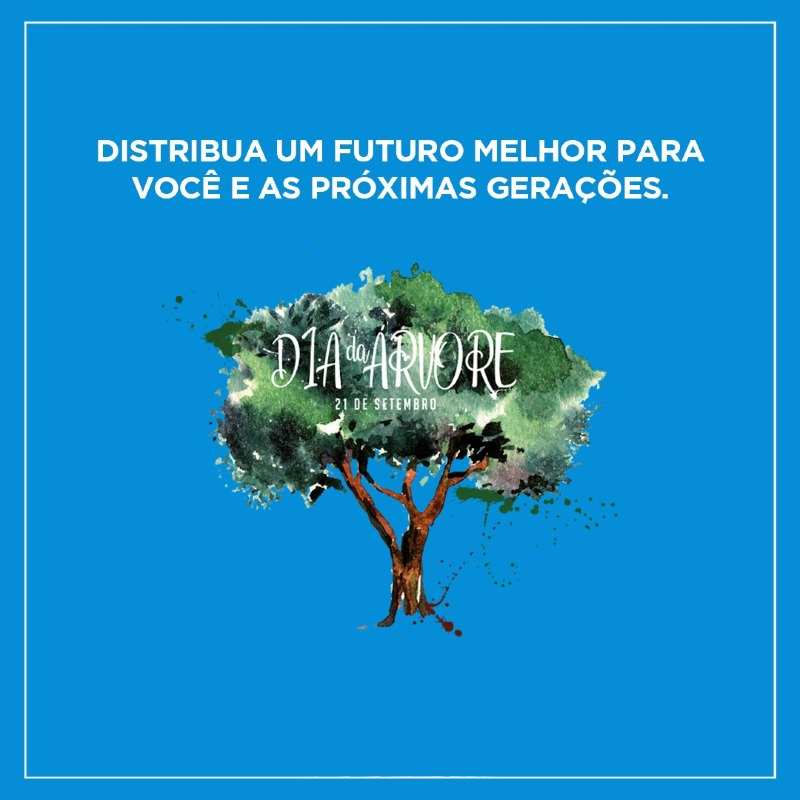 Dia da Árvore ganha ações ambientais do Grupo São Benedito | O Bom da Notícia Dia da Árvore ganha ações ambientais do Grupo São Benedito | O Bom da Notícia