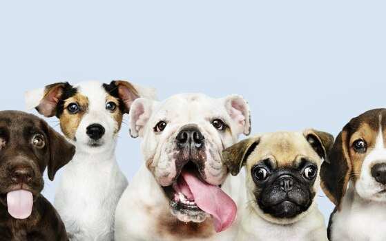 upload infocoweb - c501c2df2a440a7feada920d0228c9e2