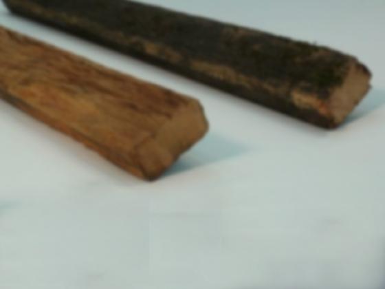 Pauladas