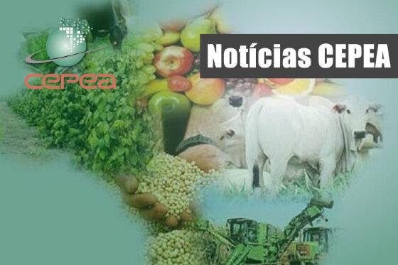 upload infocoweb - fd1b081806e648cf29adb4b08c820fa7
