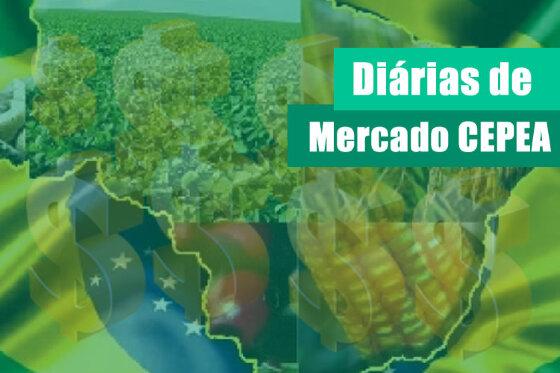 upload infocoweb - 6204f2d56ee456a885fb4128442e29ce