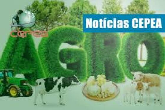 upload infocoweb - 101739ac122611596f1a5ae8fe13c97a