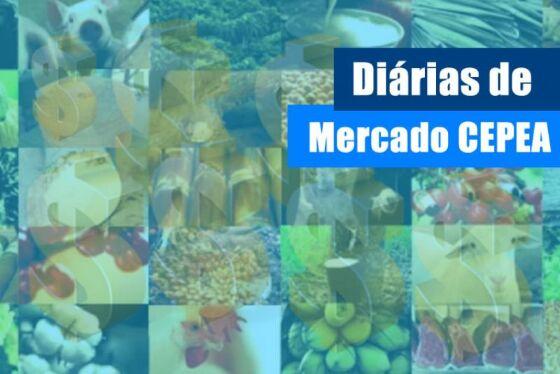 upload infocoweb - 3239053319fa717d012e0c515cb1bdd7