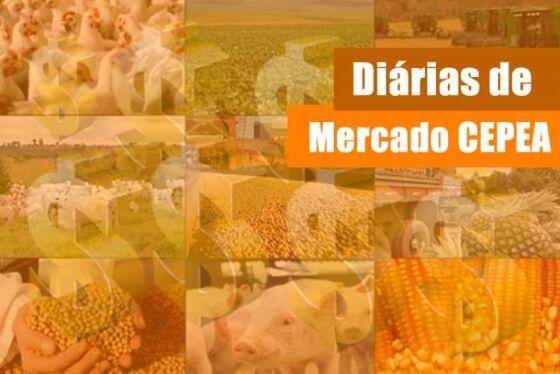 upload infocoweb - 93c9766a838beb0aeb3e3e724000eec9
