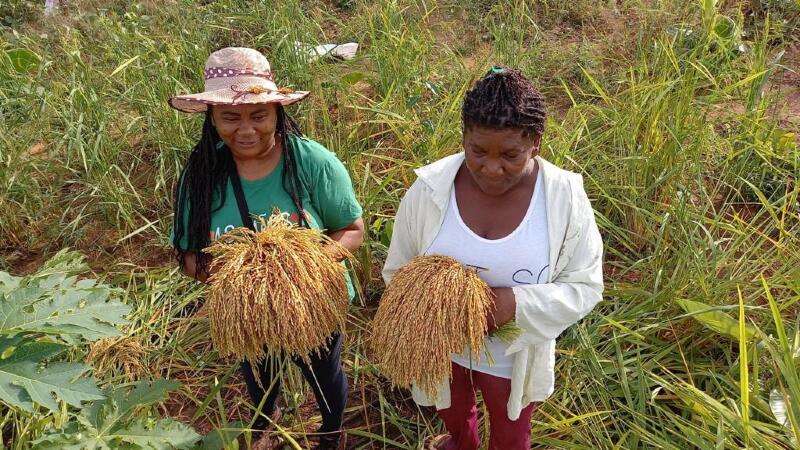 ESPERANÇA-QUILOMBO MATA CAVALO - MT on Vimeo