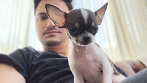 upload infocoweb - 0144d6ff2aea8ae9f5bbb9820c74d911