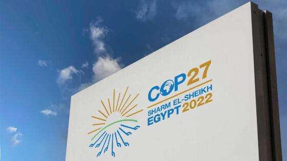 COP-27.jpg