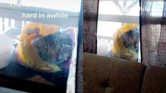 upload infocoweb - c0e2e2e1d222f8abea08454d836248bd