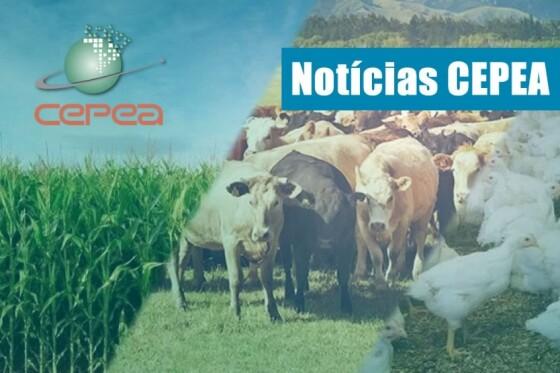 upload infocoweb - 3f504f4bd9d840eeea4c311a578aff1c
