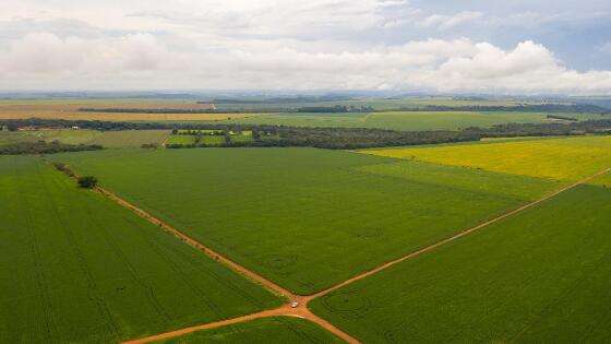 Lavoura com reserva legal em Campo Verde.jpg