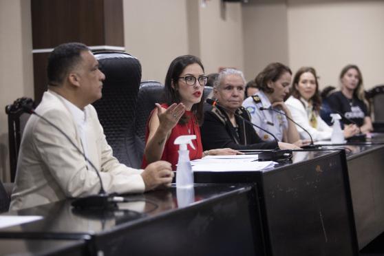 AUDIÊNCIA PÚBLICA SOBRE MUHERES - 2023.jpg