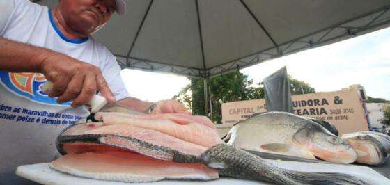 PEIXE SANTO - CUIABA.jpg