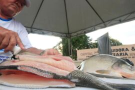 Cuiabá terá Peixe Santo a R$ 25 e shows nacionais na programação de aniversário 