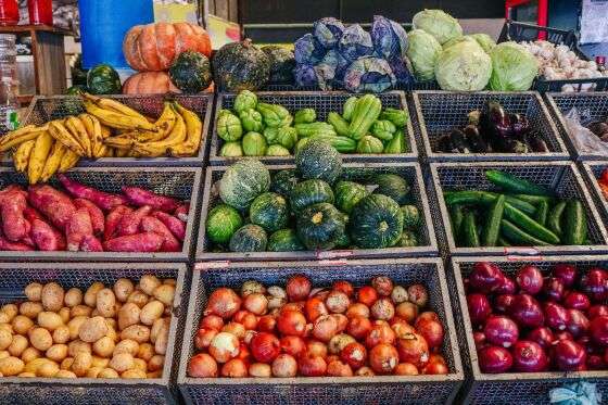 Agricultura Familiar Produtos - Lucas Diego Seaf.jpeg