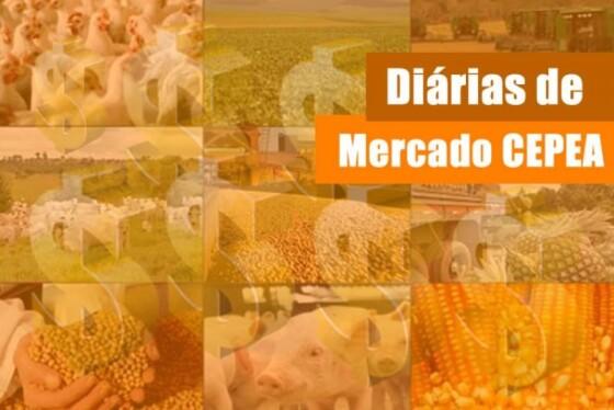 upload infocoweb - c322f84c537344eda17d060efad06f37