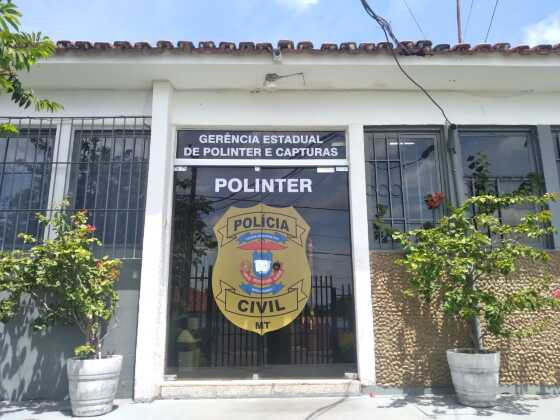 Polinter porta.jpg