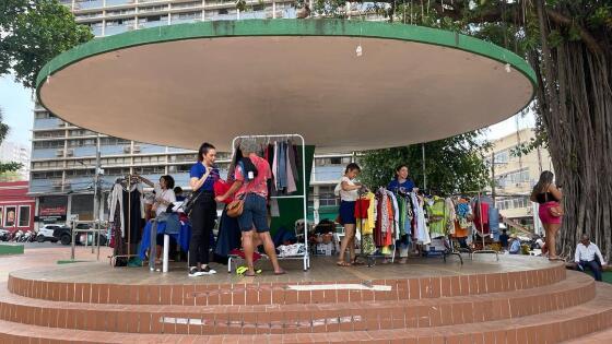 BAZAR DA LÍRIOS.jpeg