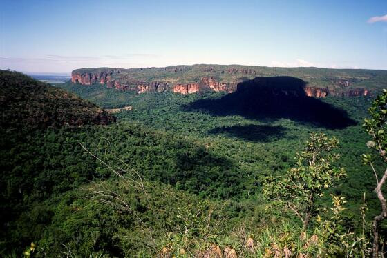 Chapada dos Guimarães.jpg