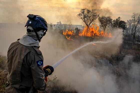 INCÊNDIO NO PANTANAL 3.jpg