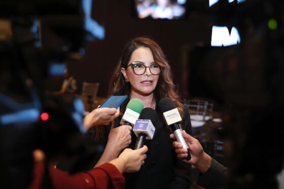 VIRGINIA MENDES - VIOLÊNCIA CONTRA A MULHER.jpeg