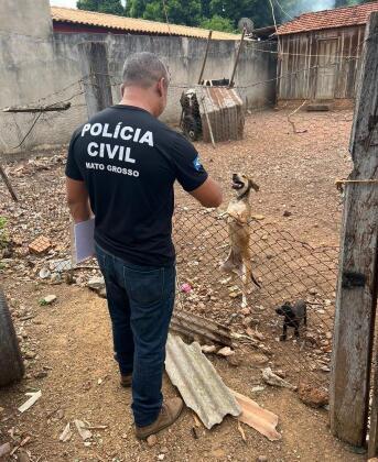 OPERAÇÃO SANSÃO.jpg