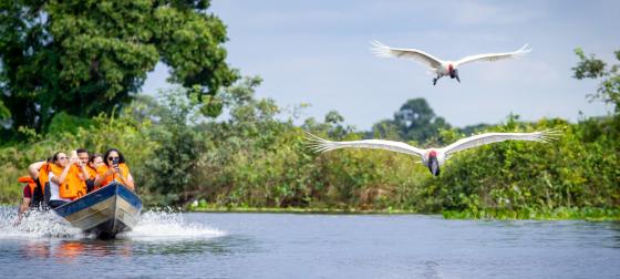 PANTANAL DE MT 2.png