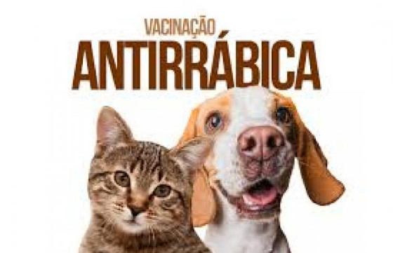 vacinaçao antirrabica.png