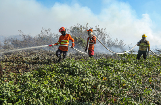 CÁCERES - Combate à incêndios no Pantanal-.jpg