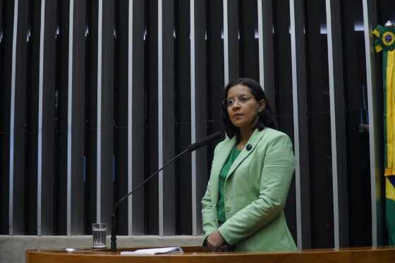 GISELA - CPMI INSS 2.jpg