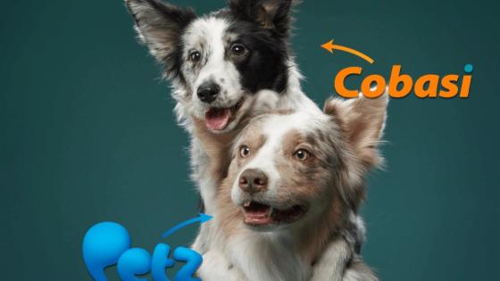 PETZ E COBASI.jpg