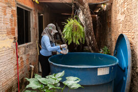 Prefeitura de Cuiabá inicia mutirão contra dengue com cronograma até maio