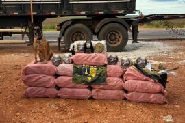 Gefron apreende mais de 400 quilos de skank e causa prejuízo de R$ 1,8 milhão ao crime