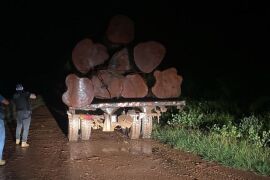 Caminhão sem placas é flagrado transportando madeira ilegal no norte de MT