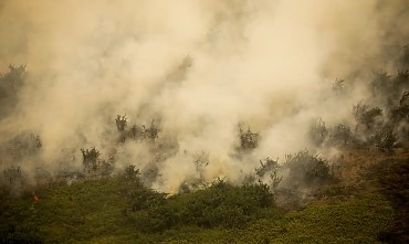 MPF pressiona Ibama e Funai para criar brigada de combate a incêndios na Terra Indígena Meruri