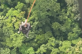 Forças de segurança resgatam jovem perdido há três dias em floresta de Juína