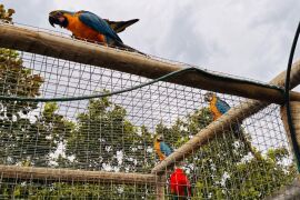 Guarda de animais silvestres permanece aberta durante todo o ano; entenda