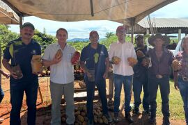 Deputado Wilson Santos defende cacau como alternativa de renda na Baixada Cuiabana