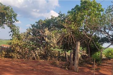 Concessionária é condenada a pagar famílias que ficaram dias sem energia elétrica