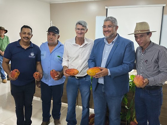 CULTURA DO CACAU - ALTA FLORESTA.jpg